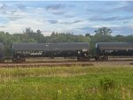 CBTX 736994